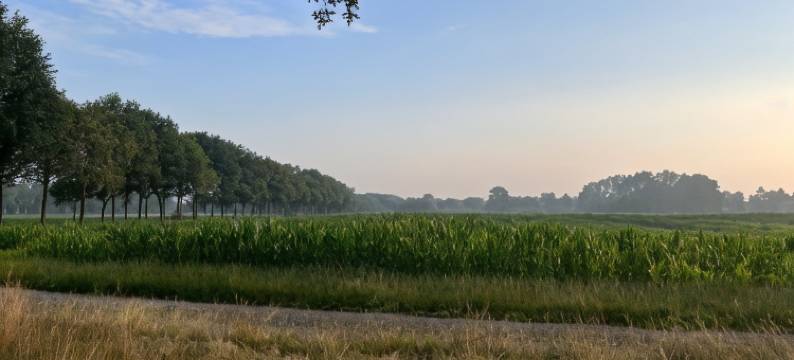 Bnb Alde Hiemen Friesland图片