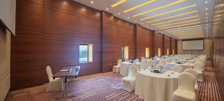 凯悦酒店(Hyatt Regency Dubai)图片