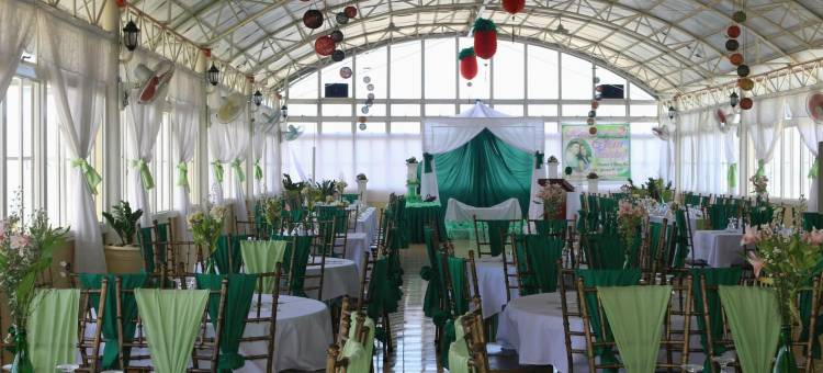 岛上热带餐厅酒店(Island Tropic Hotel and Restaurant)图片