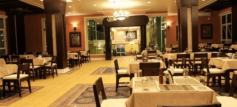 索尔宫酒店(Chour Palace Hotel)图片