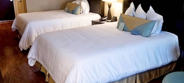 阿伯丁希尔顿花园酒店(Hilton Garden Inn Aberdeen)图片