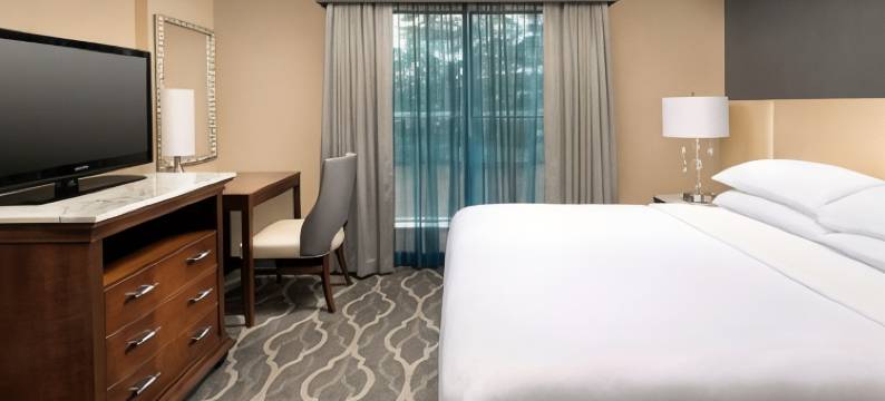亚特兰大机场希尔顿安泊酒店(Embassy Suites by Hilton Atlanta Airport)图片
