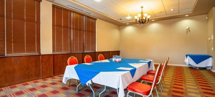 舒适套房酒店(Comfort Inn & Suites)图片