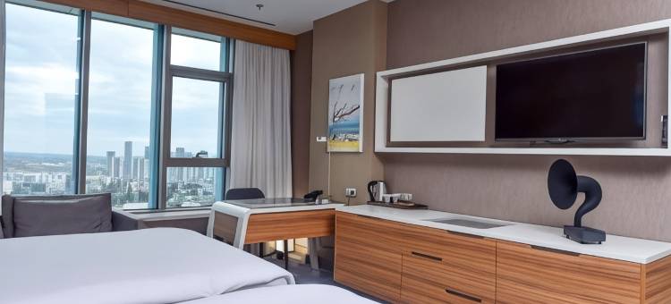 安卡拉因瑟克希尔顿逸林酒店(DoubleTree by Hilton Ankara Incek)图片