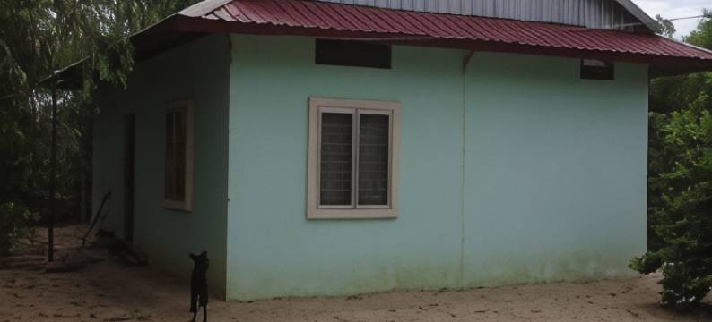 佛 扫马驰特 招待所(Phum Thormacheat)图片