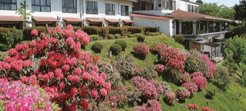青莲寺湖畔酒店(Shorenji Lake Hotel)图片