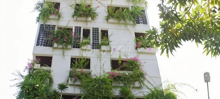 岘港海马热带酒店-Haviland旗下(Seahorse Tropical Natalie Da Nang Hotel by Haviland)图片