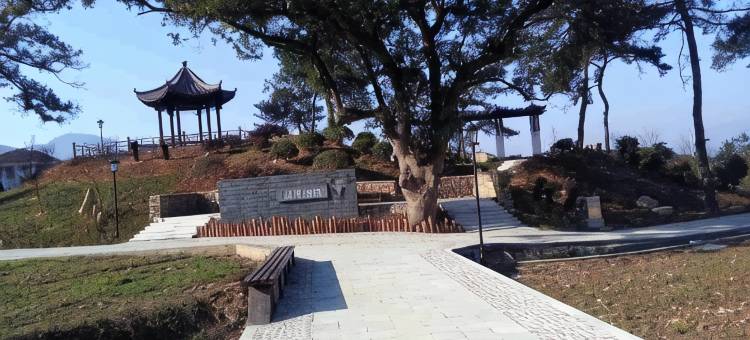 桐庐绿园农家民宿图片