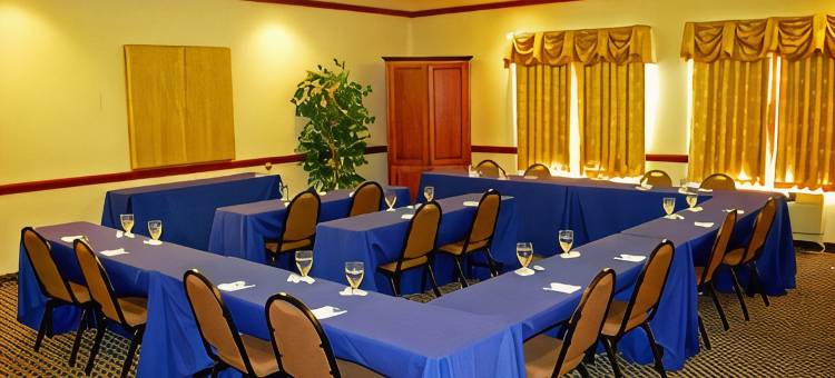 格林维尔贝斯特韦斯特优质套房酒店(Best Western Plus Suites-Greenville)图片