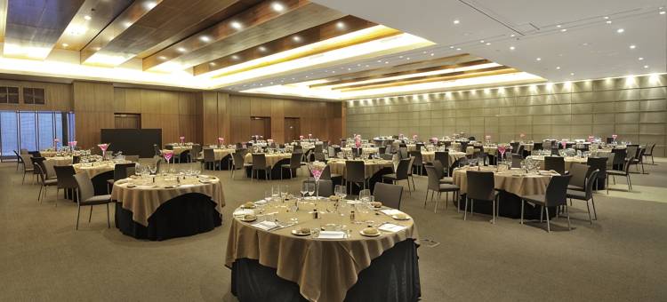 马德里塔欧洲之星酒店(Eurostars Madrid Tower)图片