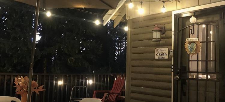 米乌克维利基配有WiFi的迷人木屋(Charming cabin with WiFi in Mi-Wuk Village)图片