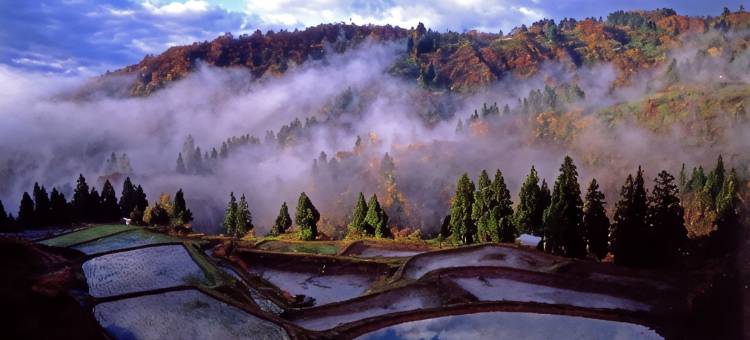 斗牛锦鲤传统文化会馆(Bullfighting and Nishikigoi Traditional Culture Center)图片