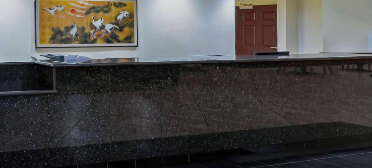 皮尔斯堡拉昆塔温德姆套房酒店(La Quinta Inn & Suites by Wyndham Ft. Pierce)图片