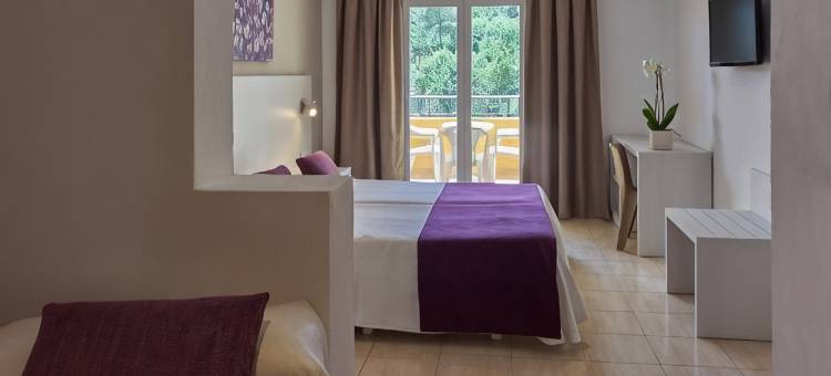 弗洛尔洛杉矶阿尔门德罗斯酒店(Hotel Flor Los Almendros)图片
