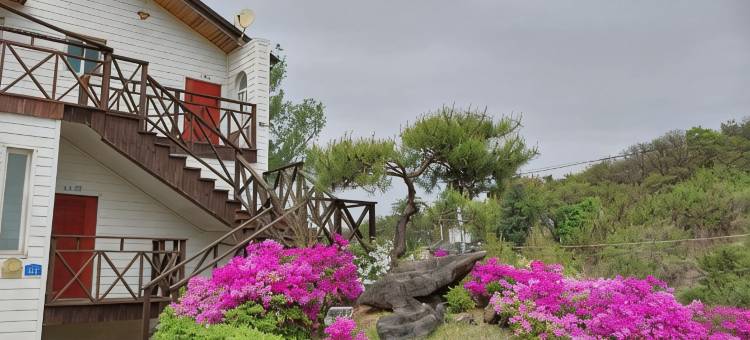 齐川Dream Lake旅馆(Jecheon Dream Lake Pension)图片