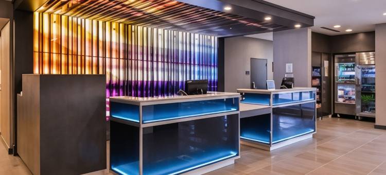 罗利卡瑞万枫酒店及套房(Fairfield Inn & Suites Raleigh Cary)图片