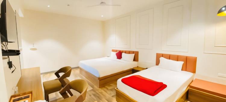 乌代布尔尼坎沙维酒店(Hotel Nikanshvee Udaipur)图片