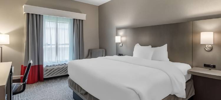 舒适酒店和套房(Comfort Inn & Suites Olive Branch - Memphis South)图片