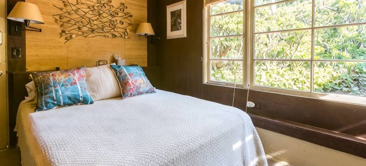 Escape to la Jolla! Secluded MidCentury WindanSea Beach Bungalow, Bikes, Hot Tub图片