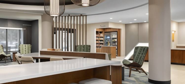 坦帕布兰登万豪SpringHill酒店(SpringHill Suites Tampa Brandon)图片
