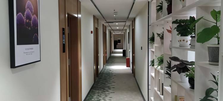 格林豪泰智选酒店(昆明南屏步行街金鹰购物广场店)图片