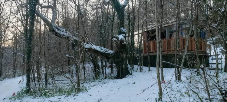 铁之天使(La Cabane Enchanteresse)图片