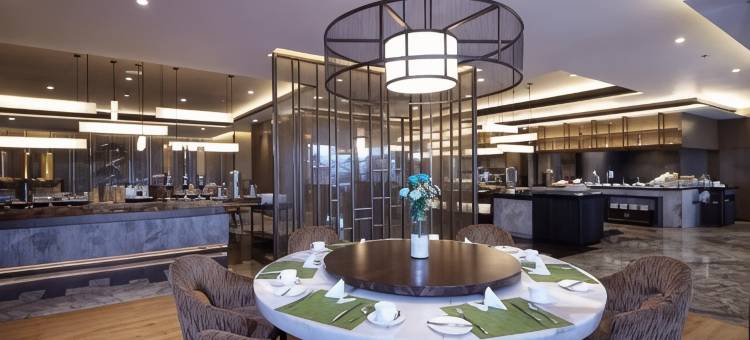 楠榜科达顿丽笙酒店(Radisson Lampung Kedaton)图片