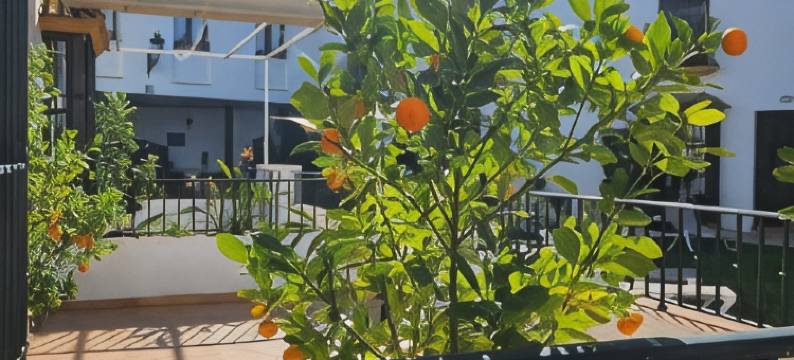 奥隆提吉庄园酒店(Hacienda Olontigi)图片