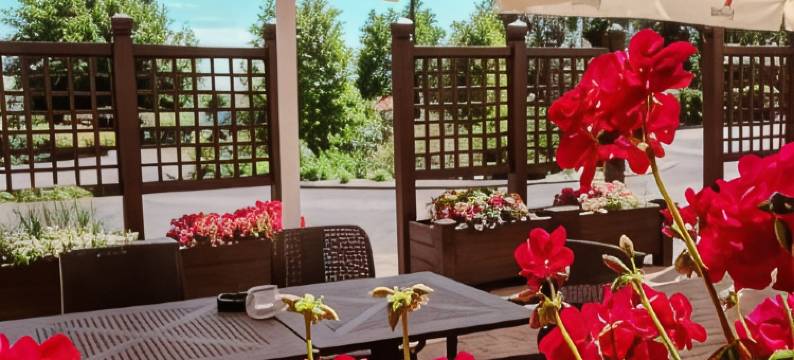 迪沃尔波古辛餐厅酒店(Dwór Bogucin Hotel&Restauracja)图片