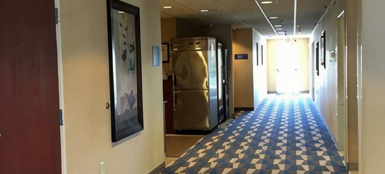 印第安纳波利斯机场温德姆麦客达酒店(Microtel Inn & Suites by Wyndham Indianapolis Airport)图片