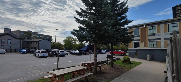 城市中心伊康旅馆(Econo Lodge City Centre)图片