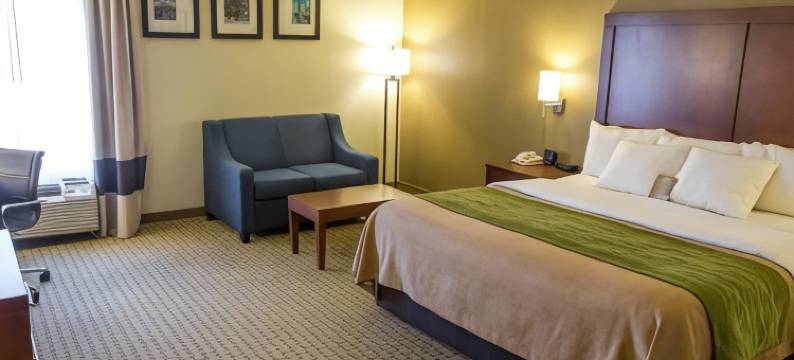 哈蒙德舒适酒店(Comfort Inn Hammond)图片