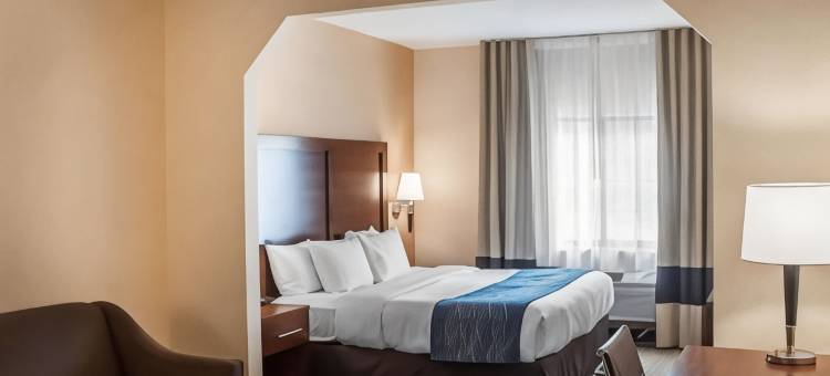 舒适酒店及套房-汉堡-南布法罗(Comfort Inn & Suites Hamburg - Buffalo South)图片