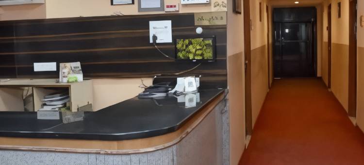 甘戈特里国际酒店(Hotel Gangotri International)图片