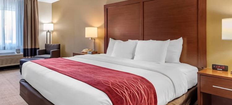 舒适酒店(Comfort Inn)图片