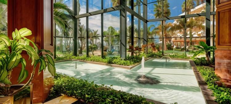 纳杜拉皇宫酒店 - 限成人入住(Hipotels Natura Palace Adults Only)图片