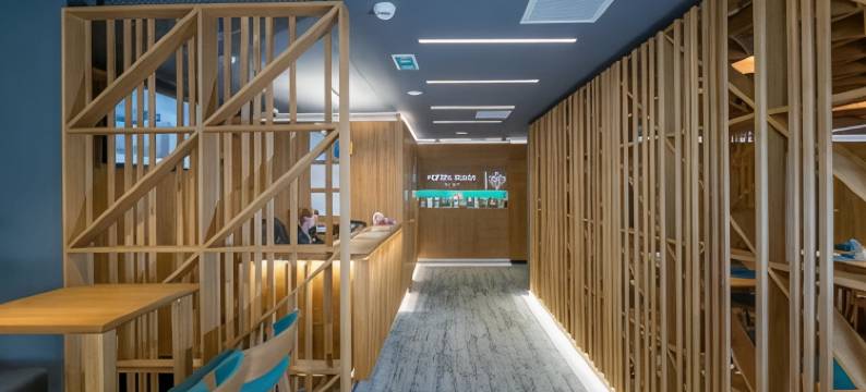 萨那酒店(Hotel Sana)图片