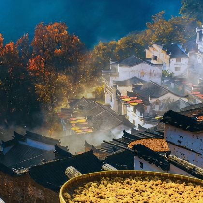 黄山市+西递+千岛湖景区+徽州古城6日5晚跟团游