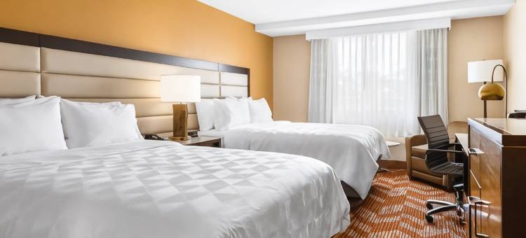 格林斯伯勒机场假日酒店(DoubleTree by Hilton Greensboro Airport)图片