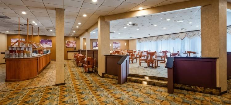 芝加哥希尔赛贝斯特韦斯特优质酒店(Best Western Plus Chicago Hillside)图片
