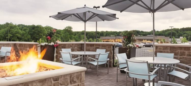 芒特劳雷尔樱桃山SpringHill Suites酒店(SpringHill Suites Mt. Laurel Cherry Hill)图片