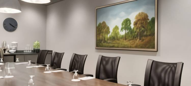 洛特爱斯丽希尔顿安泊酒店(Embassy Suites by Hilton Charlotte Ayrsley)图片