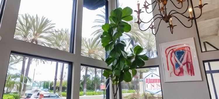 阿拉莫会展中心套房酒店(Alamo Inn and Suites - Convention Center)图片