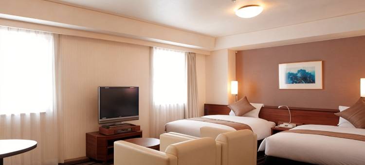 Alpico广场酒店(Alpico Plaza Hotel)图片