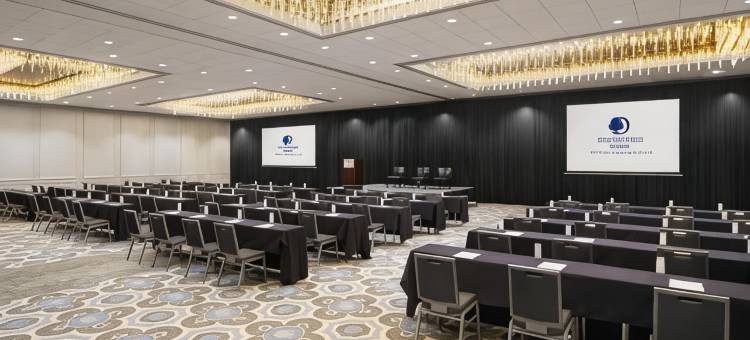 格林威广场休斯顿希尔顿逸林酒店(DoubleTree by Hilton Hotel Houston - Greenway Plaza)图片