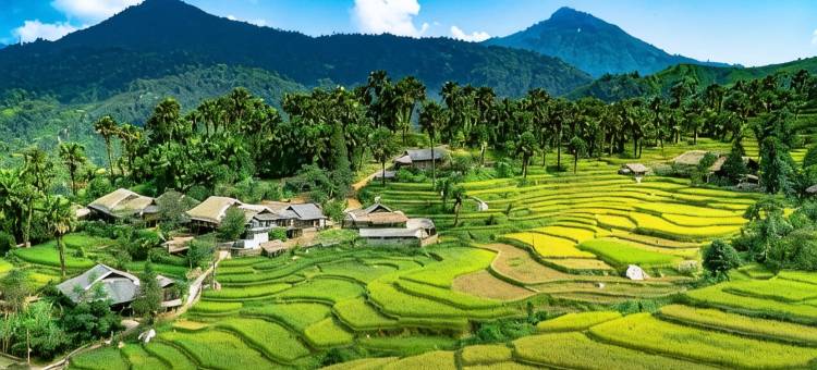 Binh Ban Lien民宿(Binh Ban Lien Homestay)图片