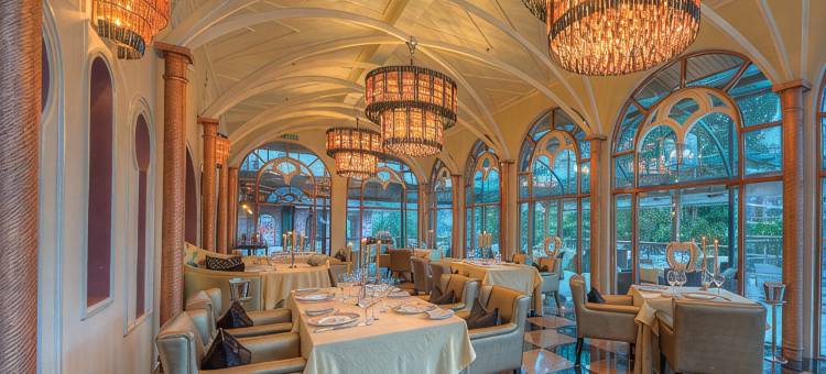 城堡水疗健康度假村(The Chateau Spa & Wellness Resort)图片