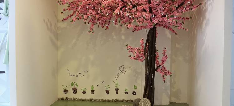 林芝桃花源太空舱宾馆图片