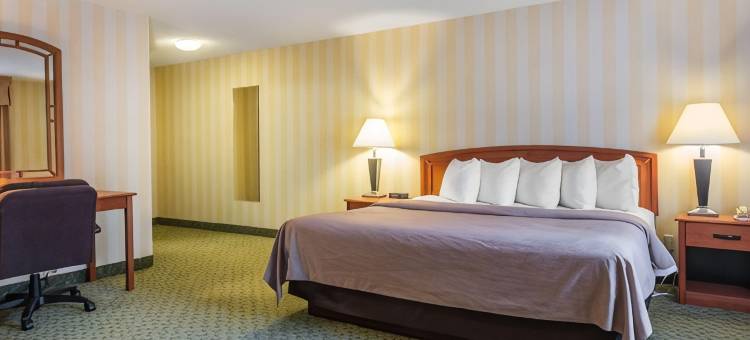 品质酒店机场店(Quality Inn Airport)图片