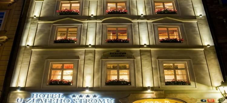 金树酒店(Hotel U Zlatého Stromu Prague by Bhg)图片